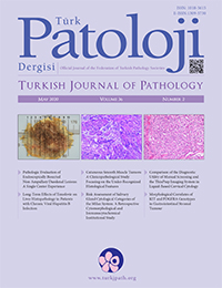 Türk Patoloji Dergisi